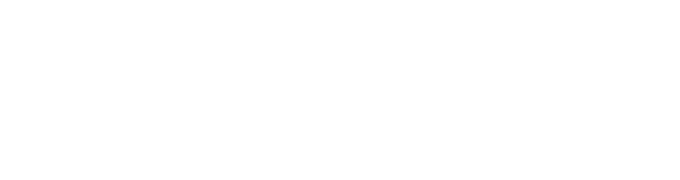 REEM-A